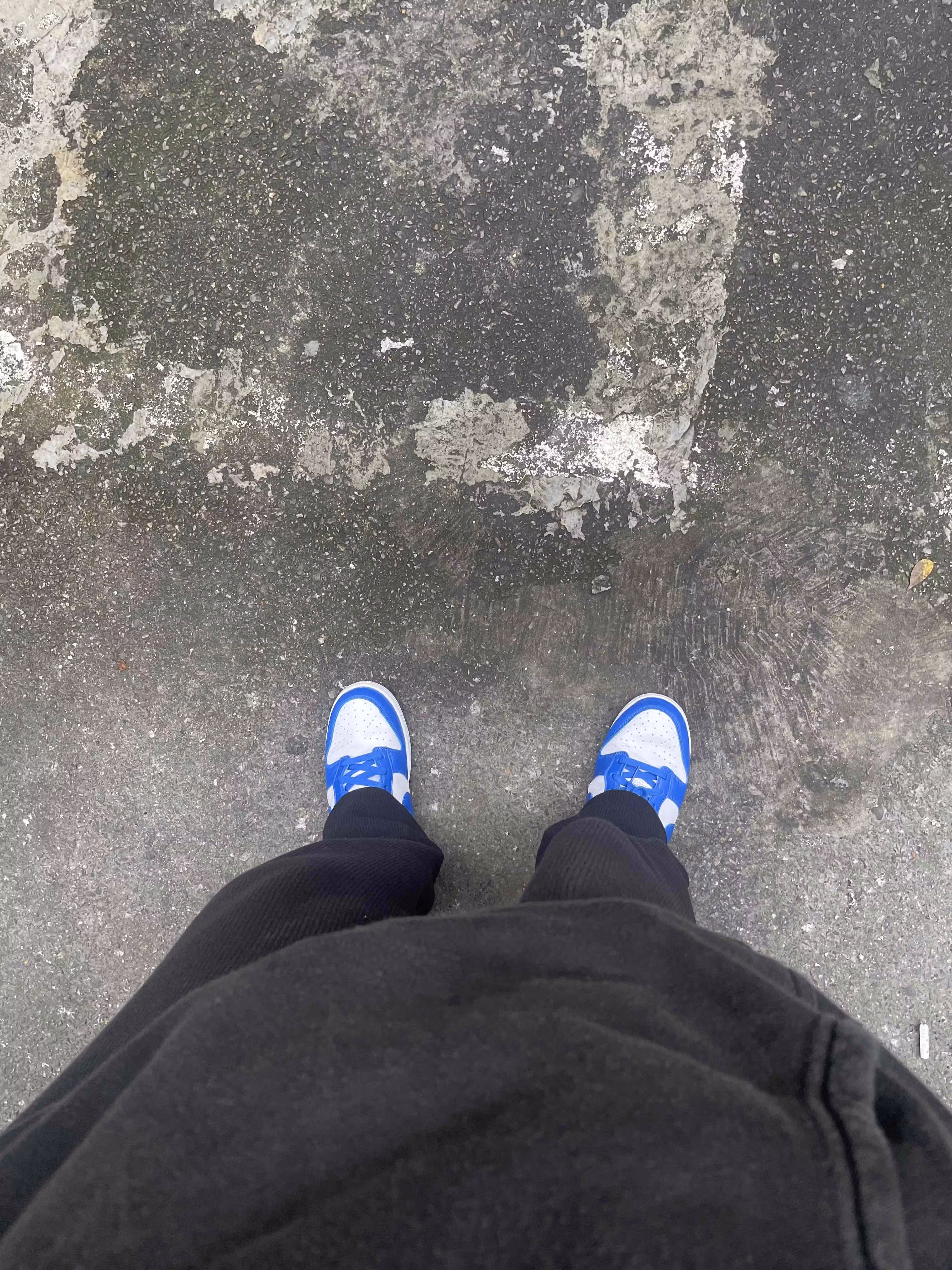Nike Dunk Low Retro SP 'Kentucky' CU1726-100 Nike Dunk Low Retro SP 'Kentucky' CU1726-100